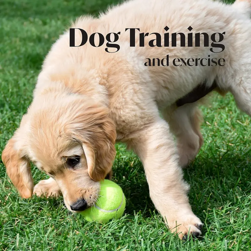 Tennis Balls With Mesh Bag, Sport Play Dog Toy Ball Sturdy & Durable, Great For Lessons, Practice, Throwing Machines & Playing with Pets (Pack Of 24)) 1
